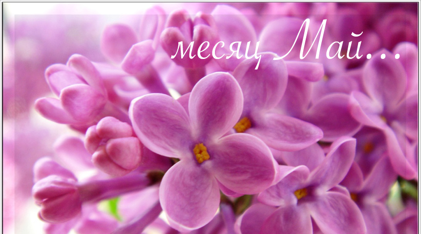 Майский букет